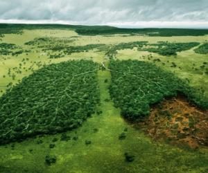 These are the biggest threats to Costa Rica's wildlife